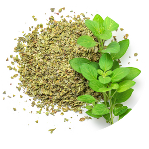 OREGANO