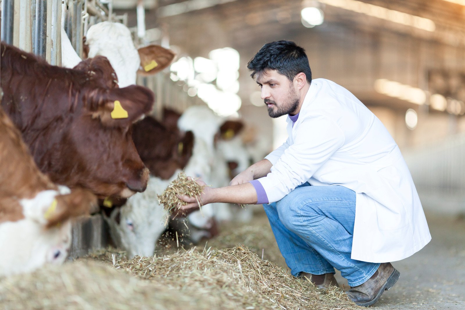 Ruminant Desteklerinde Yeni Dönem: Maksimum Fayda, Akıllı Çözümler